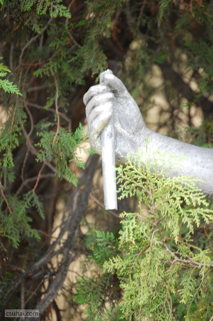 dsc_13912014-05-24_10-26-09