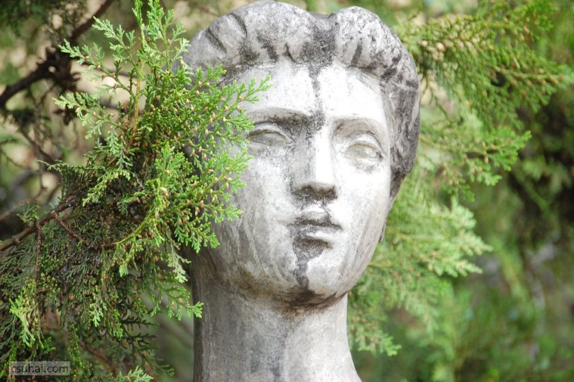 dsc_13972014-05-24_10-26-38