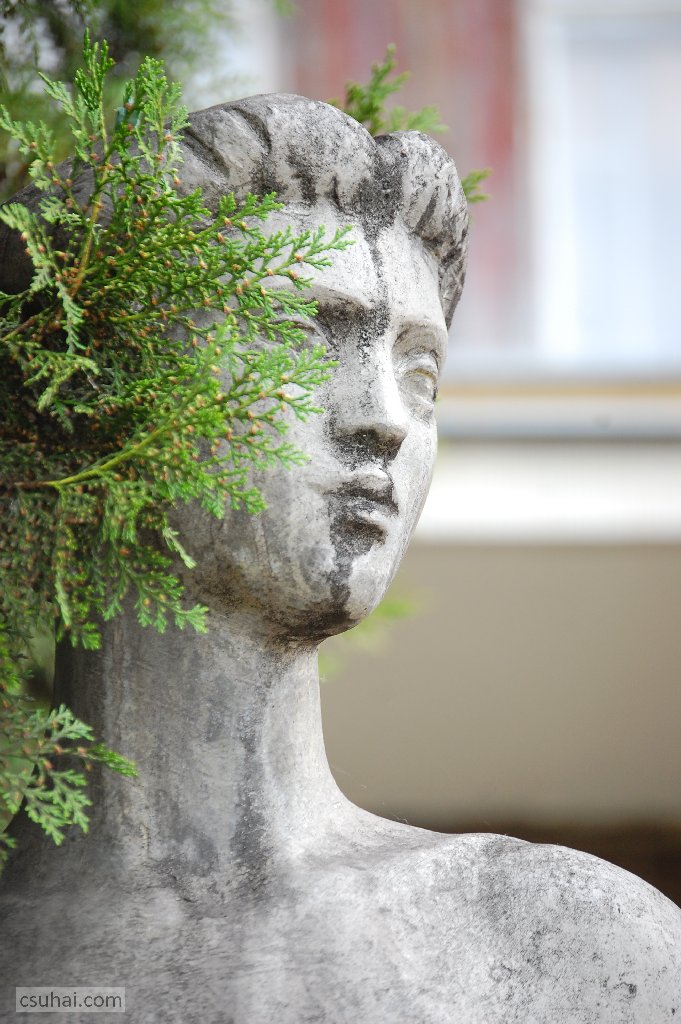 dsc_14022014-05-24_10-26-58