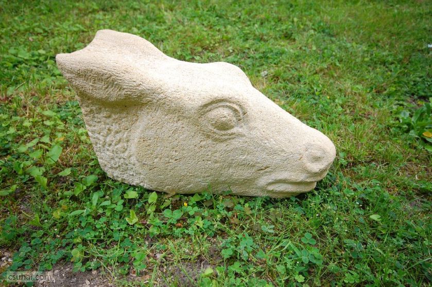 dsc_20162014-06-01_15-02-23