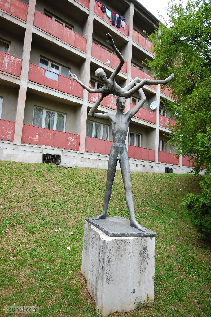 dsc_86212014-04-19_12-01-35