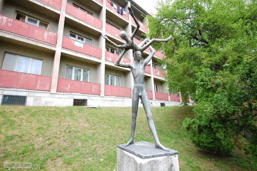 dsc_86262014-04-19_12-01-54