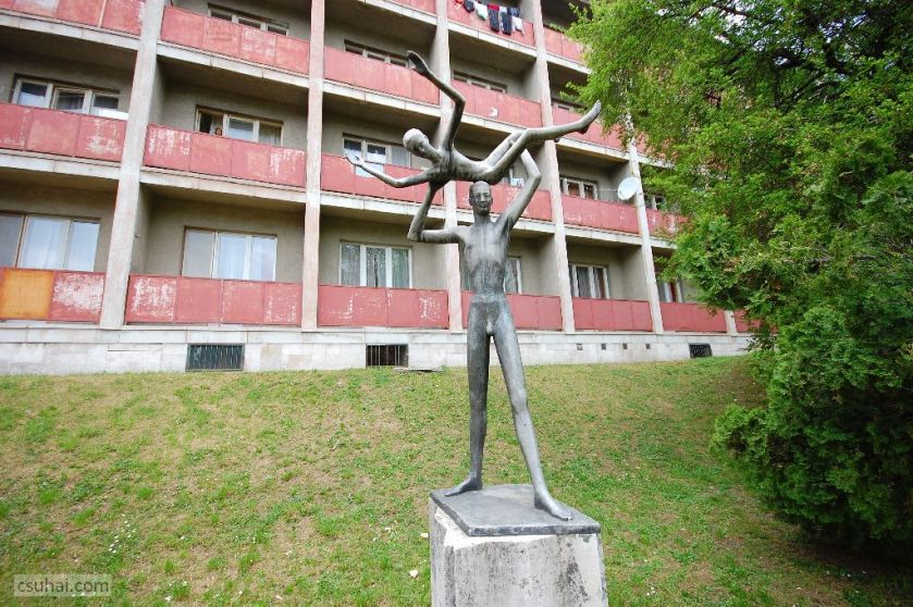 dsc_86272014-04-19_12-01-57