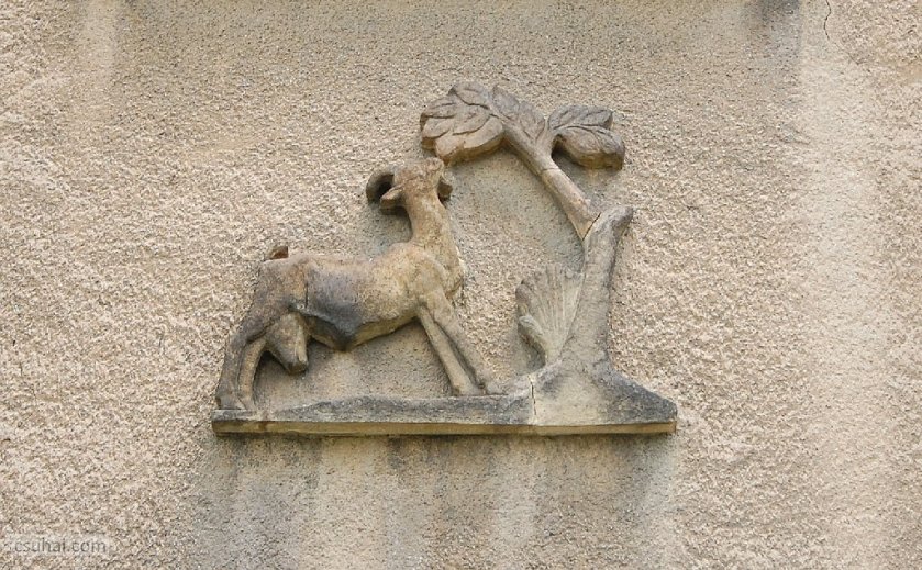 dsc_91342014-04-20_11-54-23