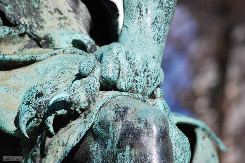 dsc_05972017-02-05_12-23-45