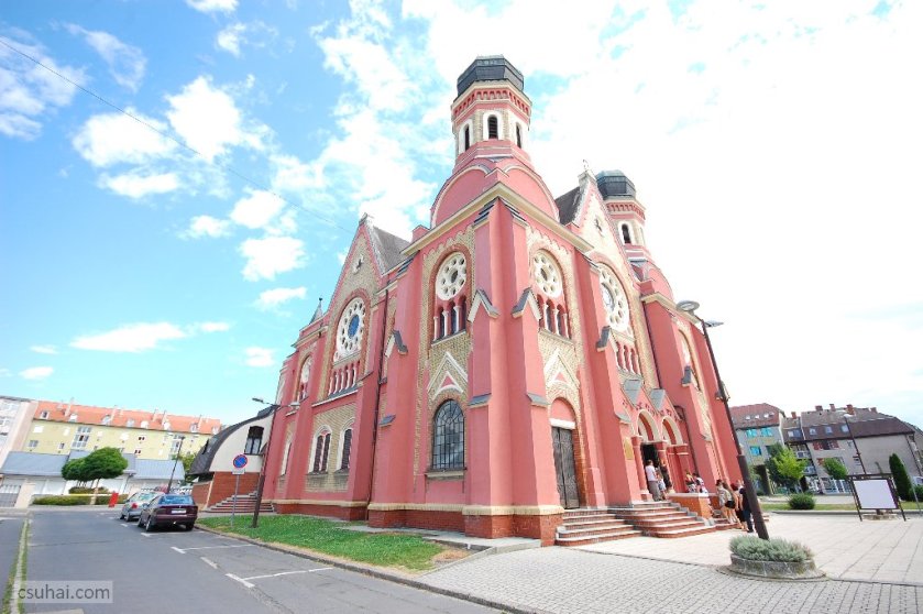 dsc_24752016-07-09_15-22-45