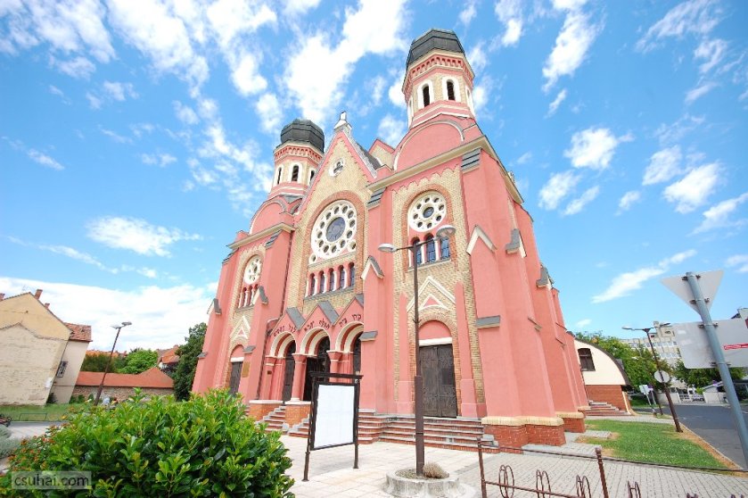 dsc_24812016-07-09_15-23-45