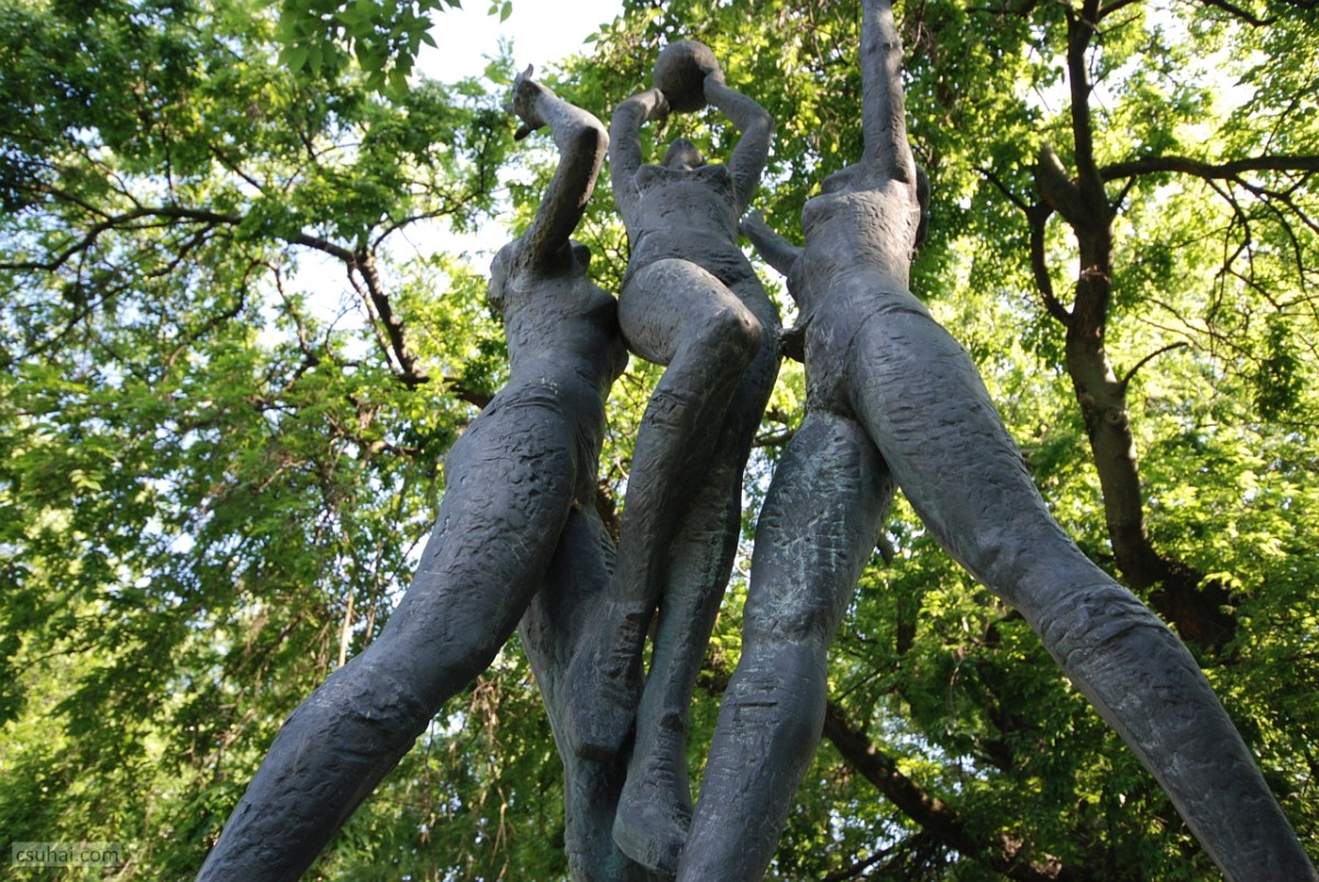 Távolsági kosarasok igáslovát