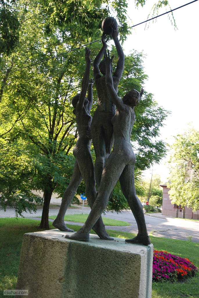 DSC_04602019-08-06_15-45-01