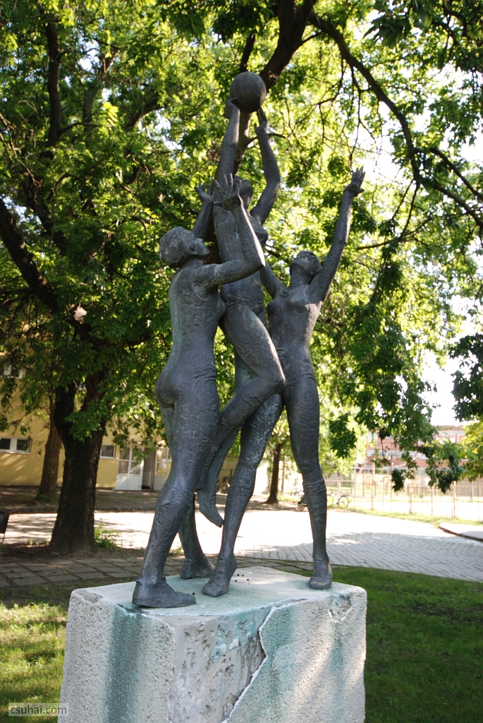 DSC_04732019-08-06_15-45-32