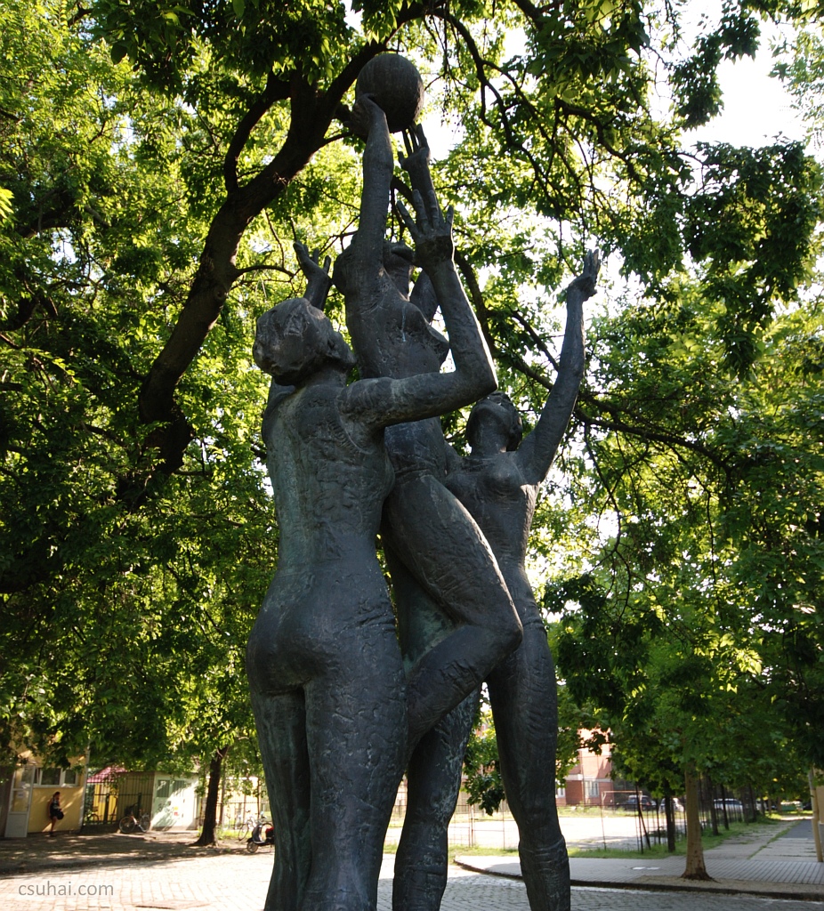 DSC_04772019-08-06_15-46-00