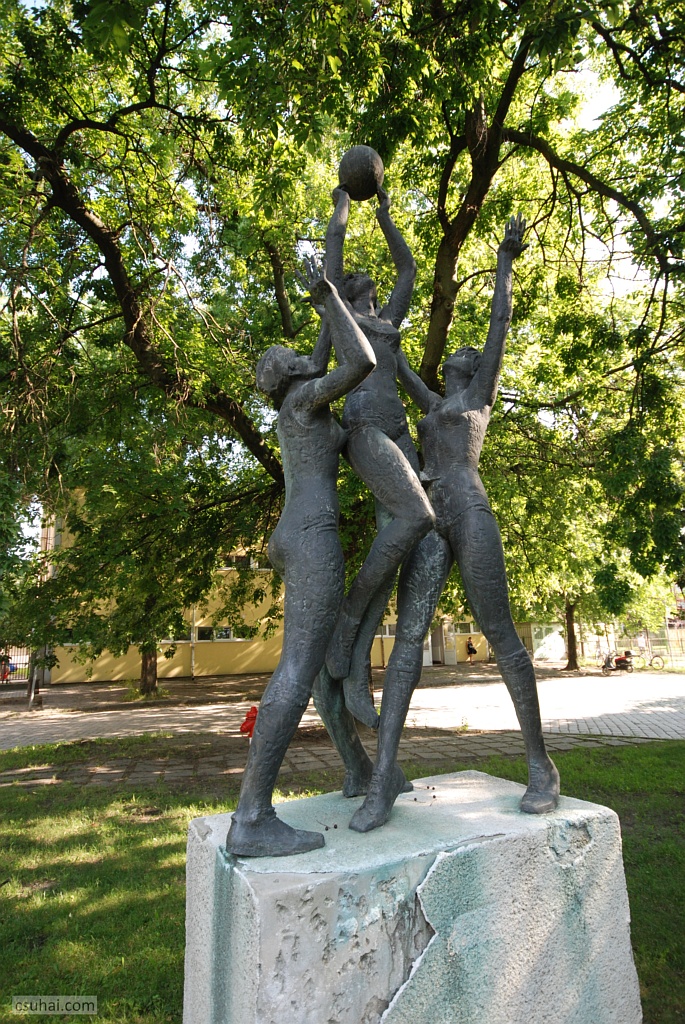 DSC_04802019-08-06_15-46-05