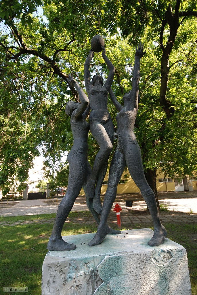 DSC_04822019-08-06_15-46-07