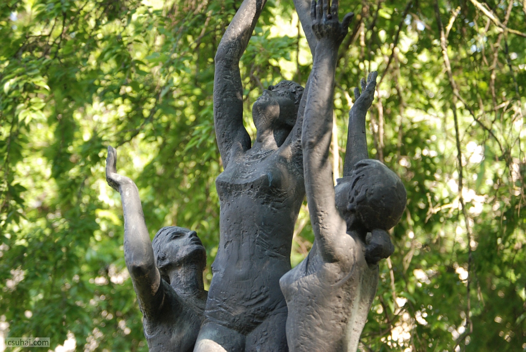 DSC_04852019-08-06_15-47-11