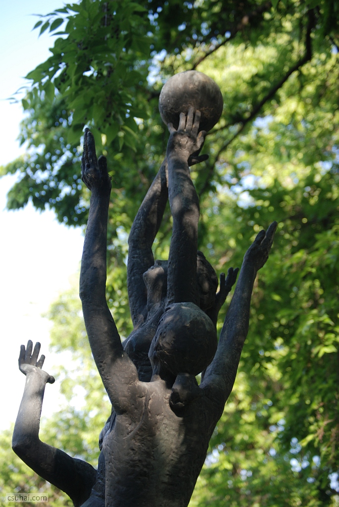 DSC_05002019-08-06_15-48-29