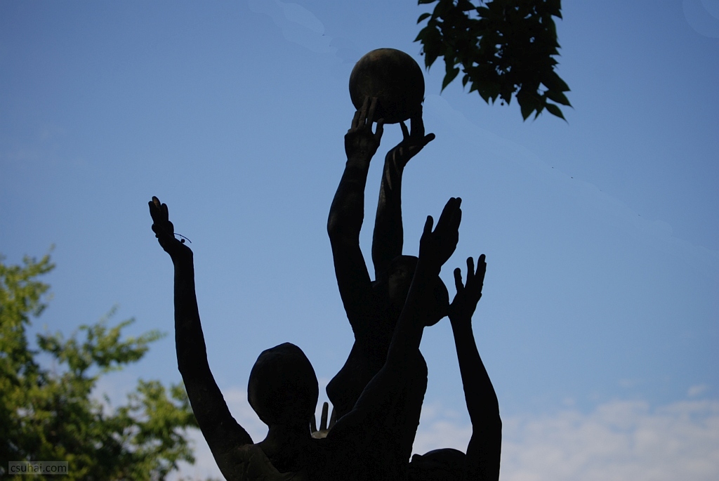 DSC_05052019-08-06_15-48-51