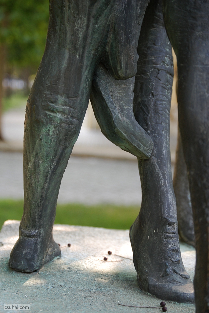 DSC_05062019-08-06_15-49-01